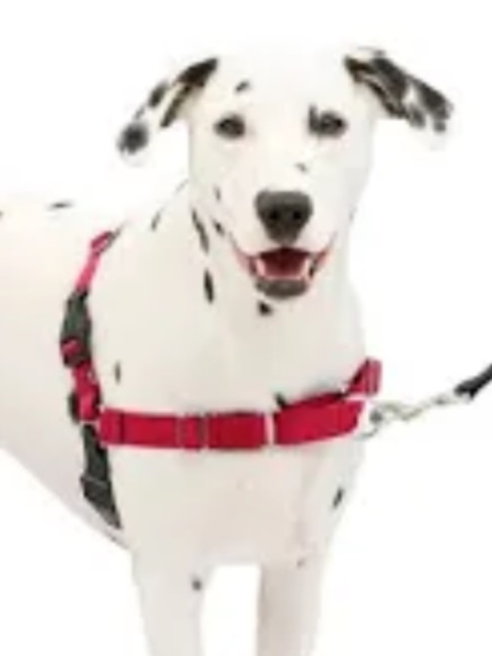 NEW🐶Petsafe Premier Easy Walk Harness in Red Size Medium
